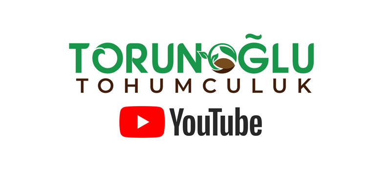 Torunoğlu Youtube Kanalı