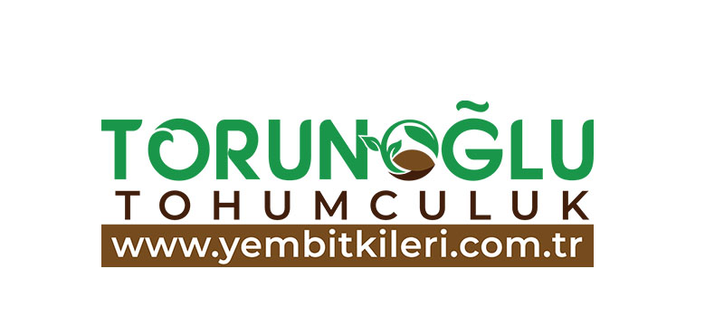 Yembitkileri.com.tr